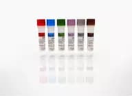 BPP Standards Set, A-F