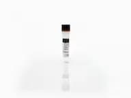 E. coli HCP Standard F