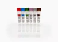 P. fluorescens HCP Standards Set, A-F