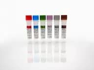 HEK 293 HCP Standards (A-F)