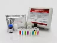 Sf9 2G HCP ELISA Kit