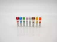 Vero Cell HCP 2G Standards Set A - H