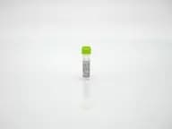 Vero Cell 2G HCP Antigen Concentrate