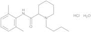 Bupivacaine Hydrochloride Monohydrate 1.0 mg/ml in Methanol (as anhydrous free base)