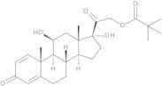 Prednisolone Pivalate