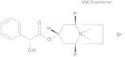 Homatropine Methylbromide