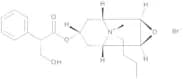 Hyoscine Butylbromide