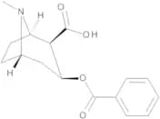 Benzoylecgonine