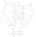 7-Aminoactinomycin D