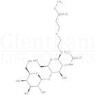 Carbomethoxyethylthioethyl 2-acetamido-2-deoxy-4-O-(b-D-galactopyranosyl)-b-D-glucopyranoside