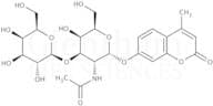 4-Methylumbelliferyl 2-acetamido-3-O-(b-D-galactopyranosyl)-a-D-galactopyranoside