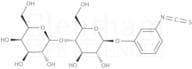 β-D-Lactopyranosylphenyl isothiocyanate