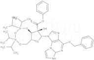 O6-Benzyl-N2,3-etheno-2’-phenoxythioxomethyl-3’,5’-O-[tetrakis(isopropyl)-1,3-disiloxanediyl] guan…