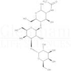 Linear B trisaccharide