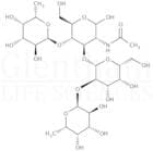 Lewis B tetrasaccharide