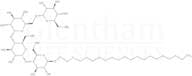 Octadecylthioethyl 4-O-(4-O-[6-O-α-D-glucopyranosyl-α-D-glucopyranosyl]-α-D-glucopyranosyl)-β-D-gl…