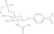 p-Nitrophenyl 6-Sulfo-2-acetamido-2-deoxy-β-D-glucopyranoside potassium salt