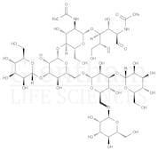 Man-5 N-Glycan