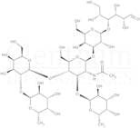 Lewis Y hexasaccharide