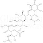 3′-Sialyl-Lewis-X tetrasaccharide