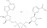 β-Nicotinamide Adenine dinucleotide sodium salt from Saccharomyces cerevisiae
