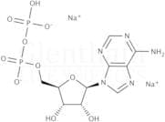 Adenosine 5''-diphosphate disodium salt