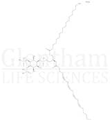 Phosphatidylinositol 4,5-bisphosphate