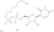 Uridine 5′-diphosphohexanolamine sodium salt