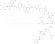 Protein Kinasexa0A Inhibitor Fragment 6-22 amide
