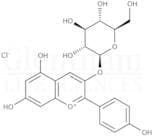 Callistephin chloride