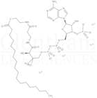Stearoyl coenzyme A lithium salt
