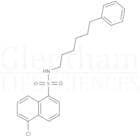 N-(6-Phenylhexyl)-5-chloro-1-naphthalenesulfonamide