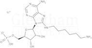 8-(6-Aminohexyl)aminoadenosine 5′-monophosphate lithium salt