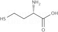 L-Homocysteine