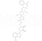 Adenosine 5′-triphosphate γ-(1-[2-nitrophenyl]ethyl) ester sodium salt