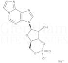 1,N6-Ethenoadenosine 3′:5′-cyclic monophosphate sodium salt