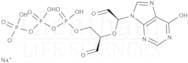 Inosine 5′-triphosphate, periodate oxidised sodium salt