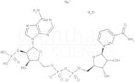 β-Nicotinamide adenine dinucleotide phosphate sodium salt hydrate