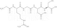 Gly-Arg-Gly-Asp-Ser