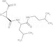 E-64c Calpain Inhibitor
