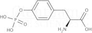 O-Phospho-L-tyrosine