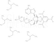 TNP-ATP triethylammonium salt, 10mM in water