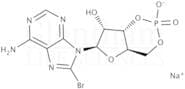 8-Bromoadenosine 3'',5''-cyclic monophosphate sodium salt