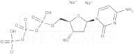 2''-Deoxycytidine-5''-triphosphate trisodium salt (dCTP)