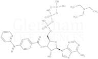 2''(3'')-O-(4-Benzoylbenzoyl)adenosine-5''-triphosphate triethylammonium salt