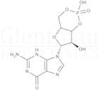 Guanosine 3'',5''-cyclic monophosphate