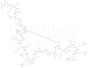 Brain Natriuretic Peptide-32 human