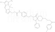 3-Bodipy-propanoic Acid N-Phenethylspiperone Amide