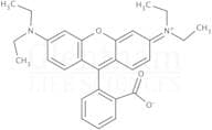Rhodamine B base