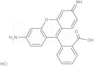 Rhodamine 110 chloride